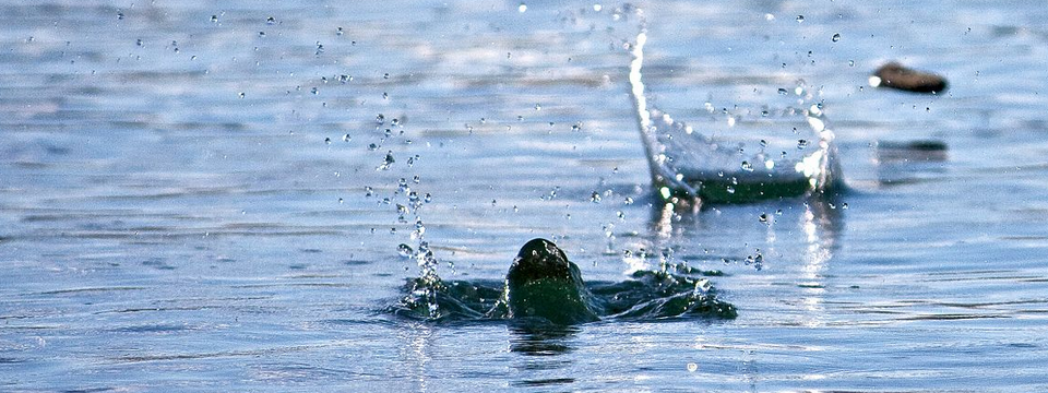 Tìm hiểu về quy luật 3 điểm chạm trong price action