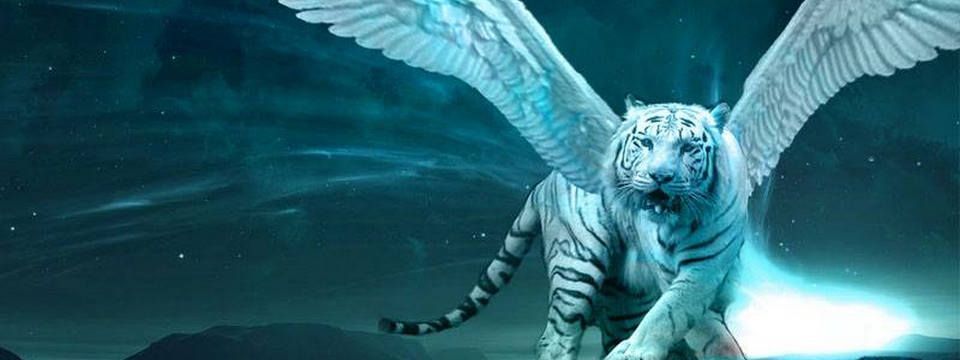 5 cách dễ dàng để tăng Winrate đáng kể mà nhiều Trader chưa làm - Phần 1