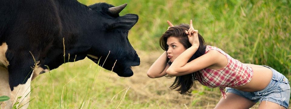 [Vui vẻ] Lời trăn trối của vợ Trader