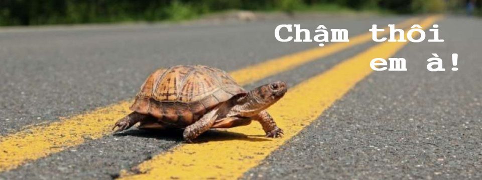 Slow Market - Điều chỉnh Lợi nhuận : Rủi ro phù hợp (phần 3)