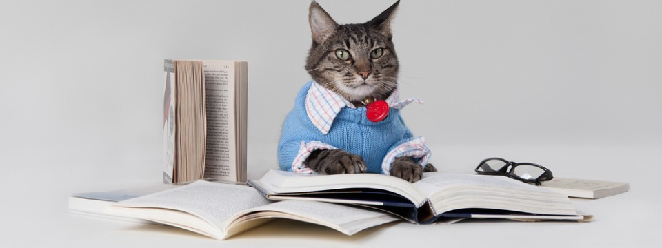 Kích hoạt điểm vào lệnh theo công phu đường micro trend line