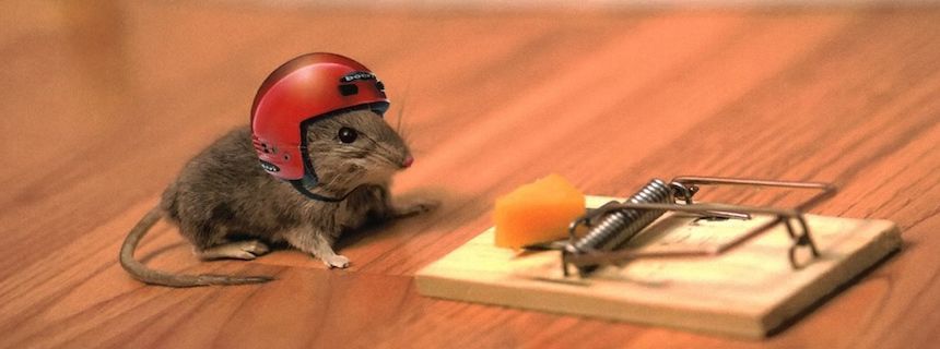 Hai rủi ro chính của đồng đô la trong tương lai gần là gì?