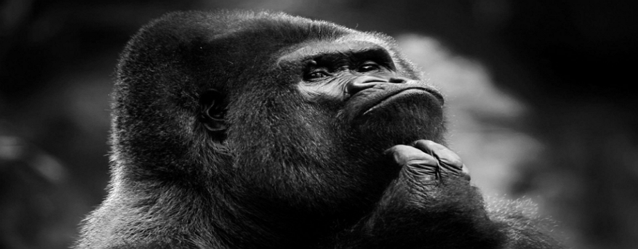 Những thói quen giao dịch đắt giá kiềm hãm sự phát triển của Trader