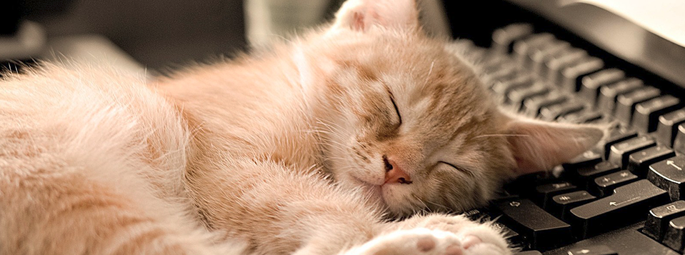 Bạn có bao giờ nghĩ đến việc ngừng trade không?