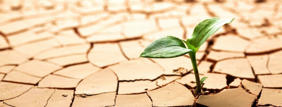 [Binary Options] Làm sao để ''sống sót'' trong tháng đầu tiên với Binary Options