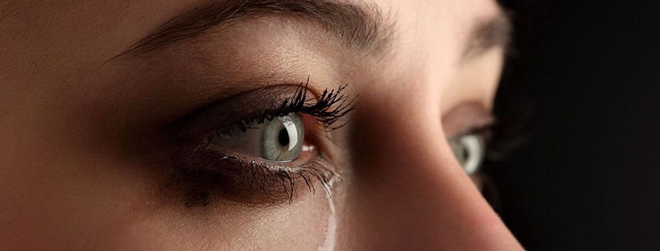 Chuyện buồn trong làng Forex Việt Nam nhưng kết thúc có hậu